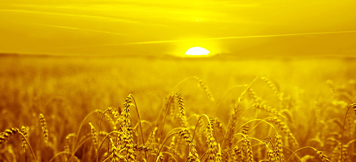 ພວກເຮົາມັກການສະ ເໜີ ວິທີແກ້ໄຂສີ